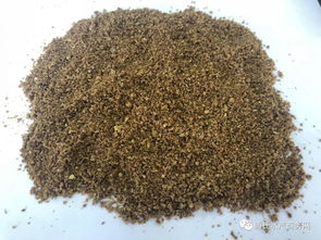 魚(yú)價(jià)低迷期如何降低餌料成本？養(yǎng)殖戶必看的實(shí)用策略